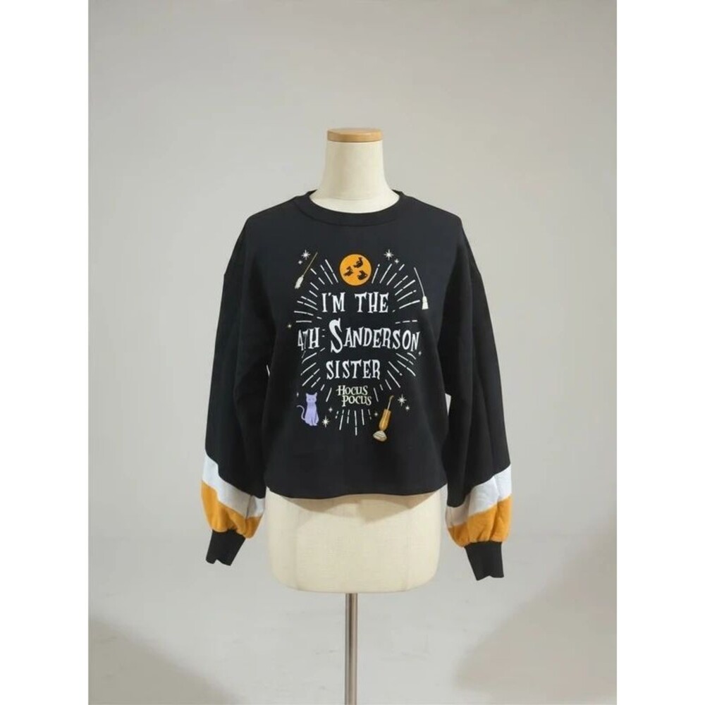 Disney Hocus Pocus 4th Sanderson Sister Colorblock Sweatshirt - XS (1)